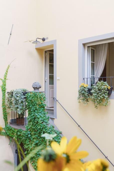 Corte Paolina - Charming Courtyard Inside Apartment Lucca