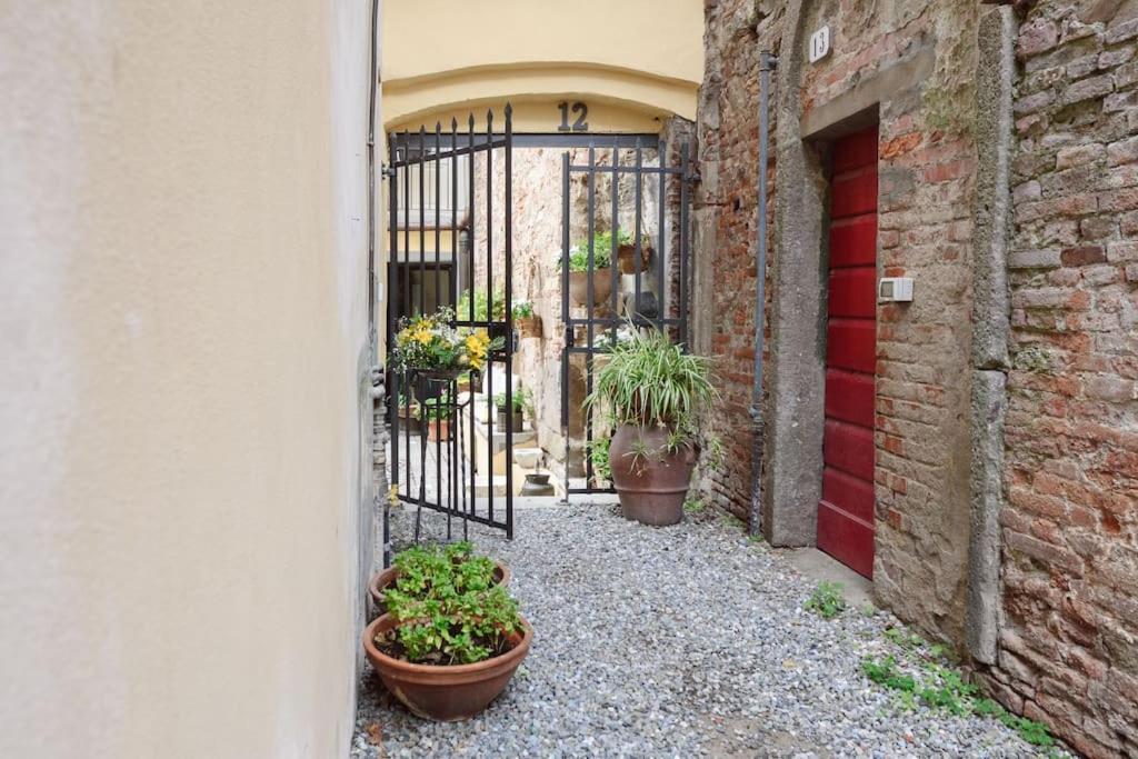 Corte Paolina - Charming Courtyard Inside Apartment Lucca