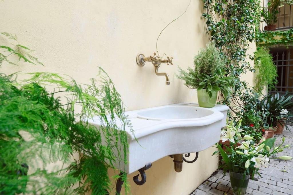 Corte Paolina - Charming Courtyard Inside Lucca