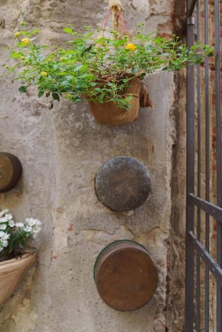 Apartment Corte Paolina - Charming Courtyard Inside